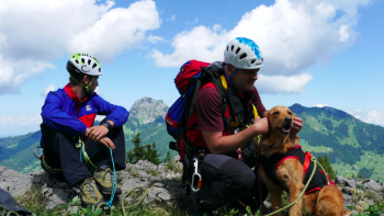 Permalink auf:Förderer – Sponsoren – Gönner